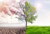 split image demonstrating NO2 pollution: dry earth, urban skyline with smoking chimneys and dying tree, then tree in leaf, with lush green grass and sun in sky
