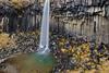 EiC317 - Feature - Carbon sequestration - Hero