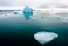 Arctic sea ice floating in green blue sea