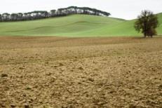 Clay soil field