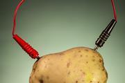 A potato being used as a fruit cell