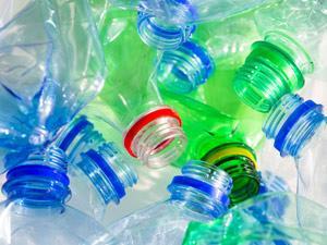 Plastic-eating-bacteria_shutterstock_152688404_300tb