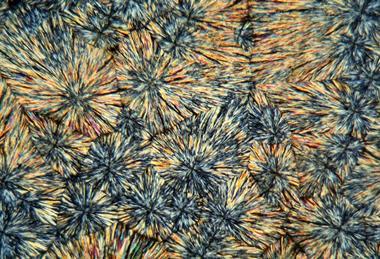 A photograph showing crystals of metamizole under microscope