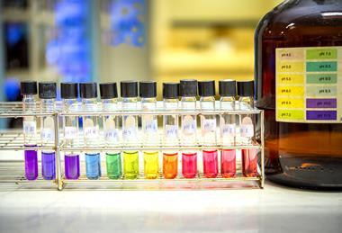 A photograph showing a range of solutions at different pH values; their colours correspond to the scale on a bottle of universal indicator solution